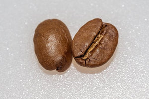 Robusta vs. Arabica