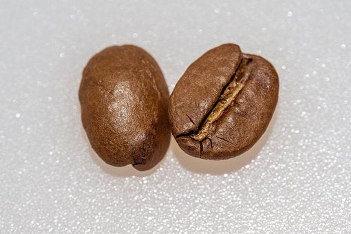 Robusta vs. Arabica